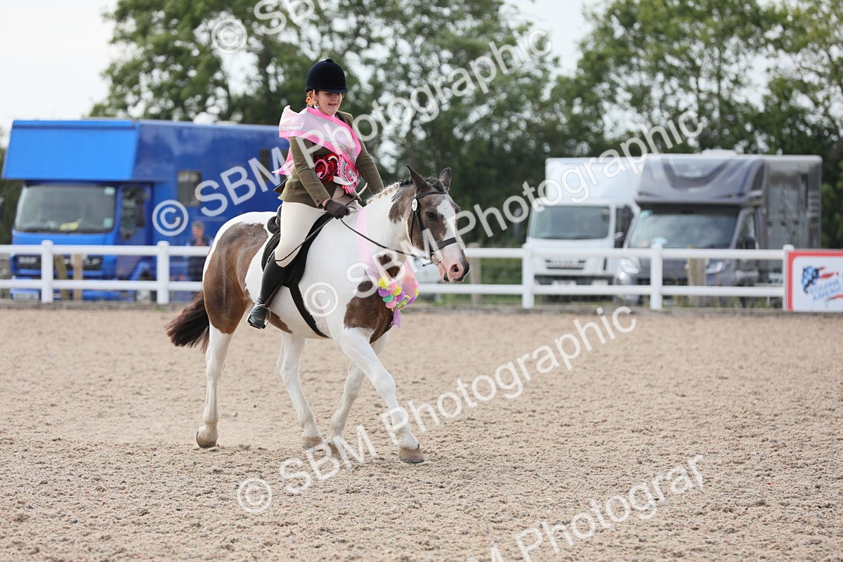 SBM_17064 - Class 314 Family Horse/Pony