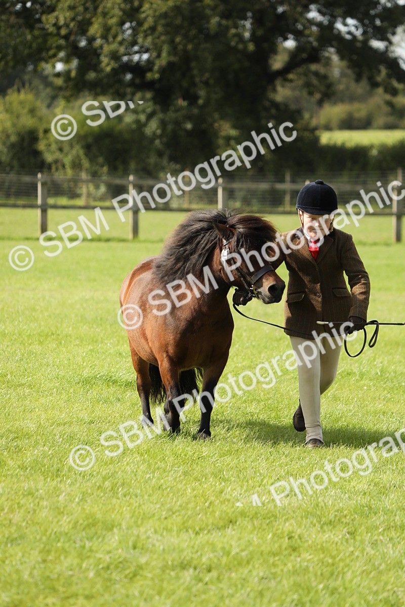 SBM_68615 - S40 - Junior Handler 9-12 Years
