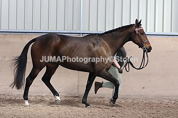 SIAL9774 - Indoor Classes