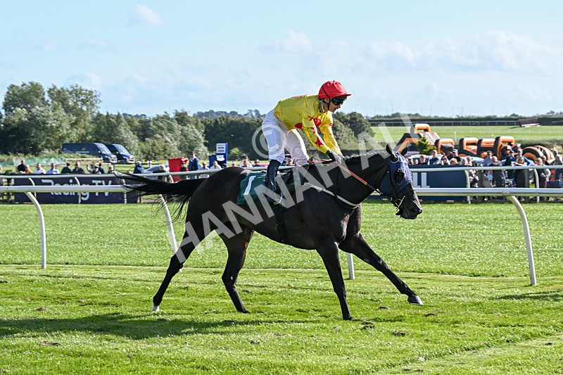 050825-Race 6-Happier-6299 - Race 6