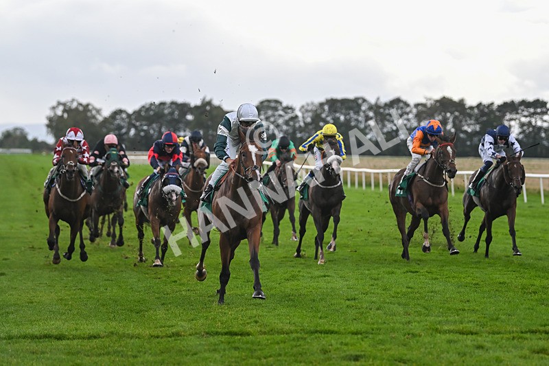 150925-Race 4-Hockney-2756 - Race 4