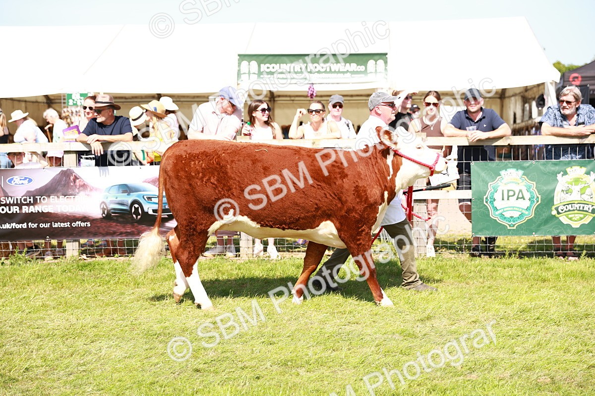 SBM_08379 - Grand Parade