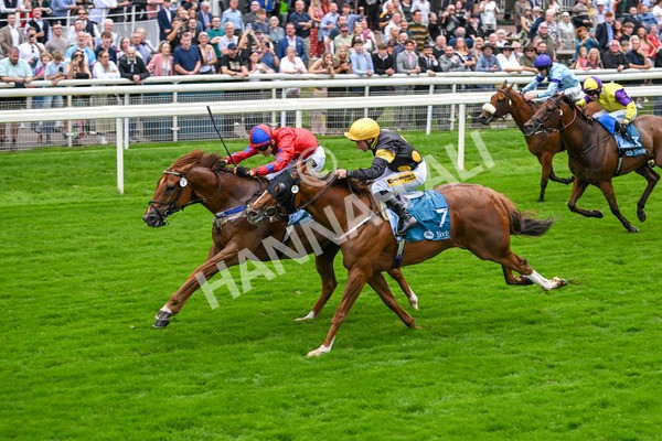 080925-Race 2-Alzahir-7430 - Race 2 3.00pm Sky Bet Super Sub Sprint Handicap