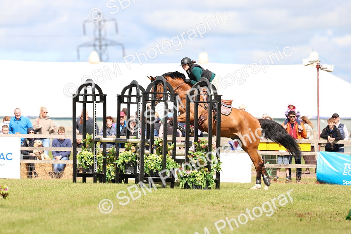 SBM_13427 - Class 206 - Senior Newcomers - 1.10m Open