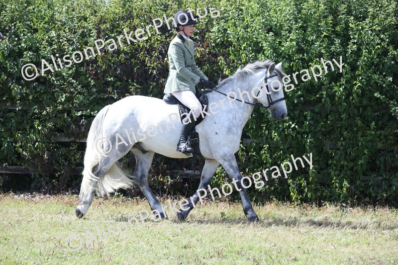 20250831-2924 - Class 19 - Mountain and Moorland