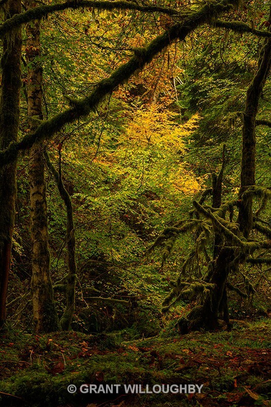 Relig Glen - Latest work