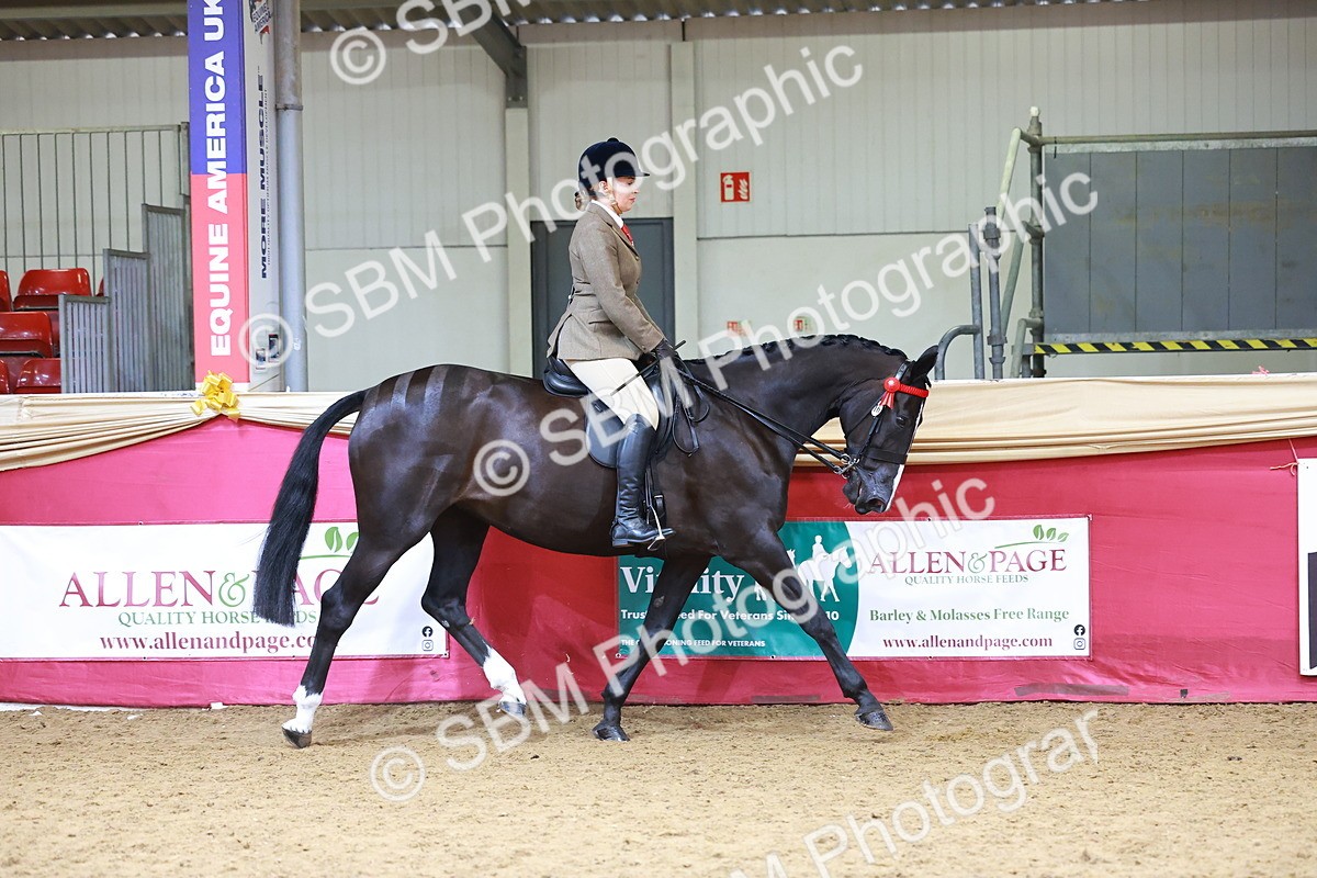 SBM_06176 - Class 12R - Ridden Pre-Vet