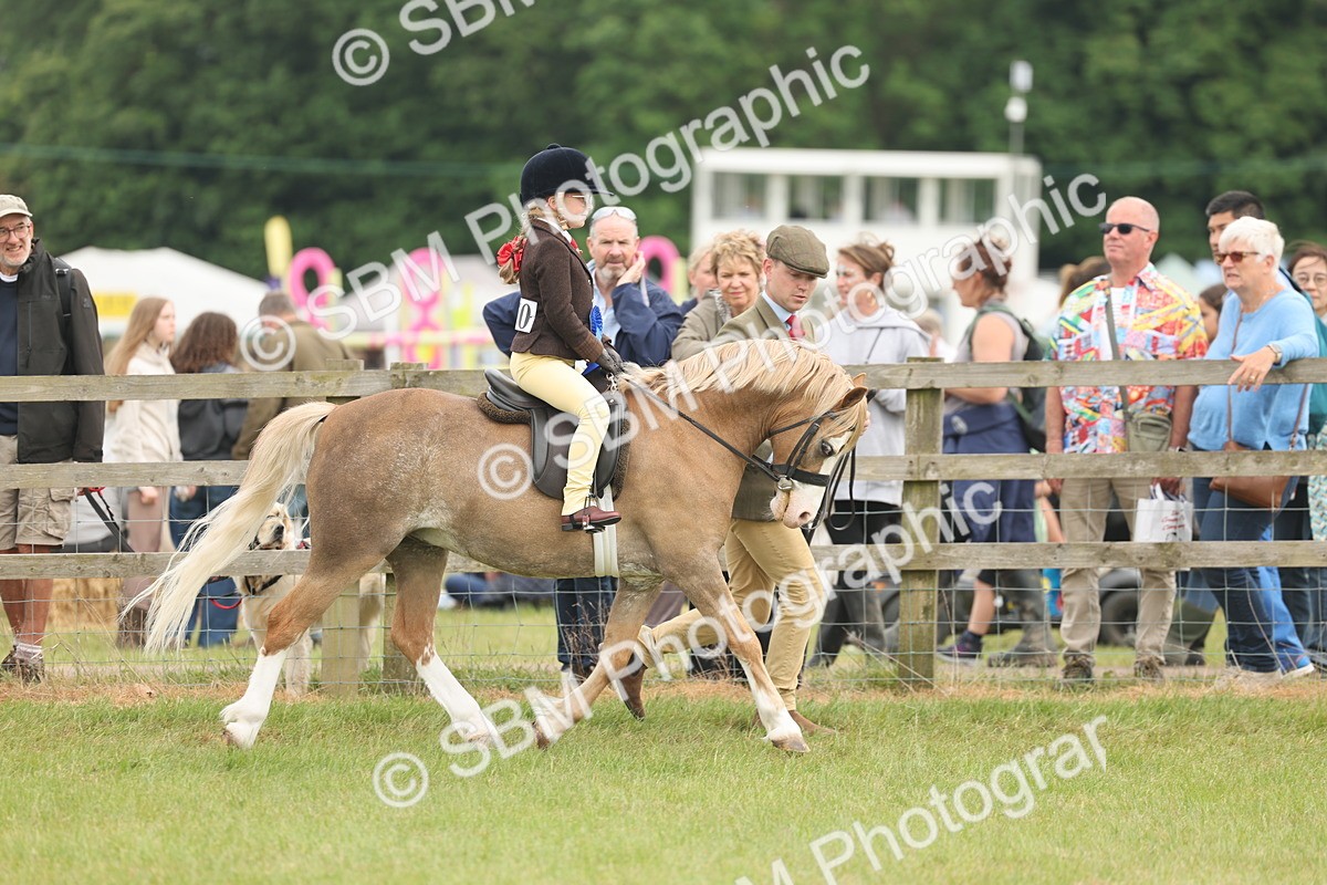 SBM_06938 - Class 74-75 - M&M Lead Rein and First Ridden Pony