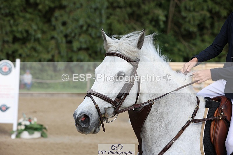 230618-184530-14369 - Cls 22 Hoys 138cm Jump offs