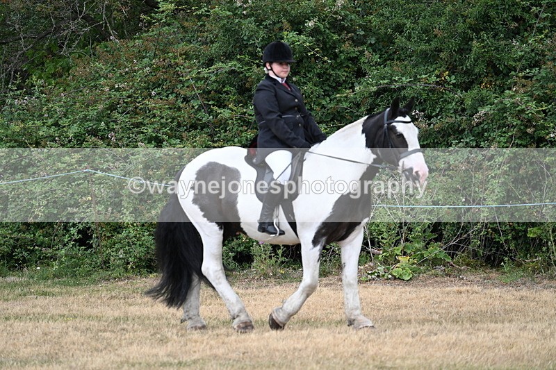 WJ7_0830 - Class 3 Family Mount