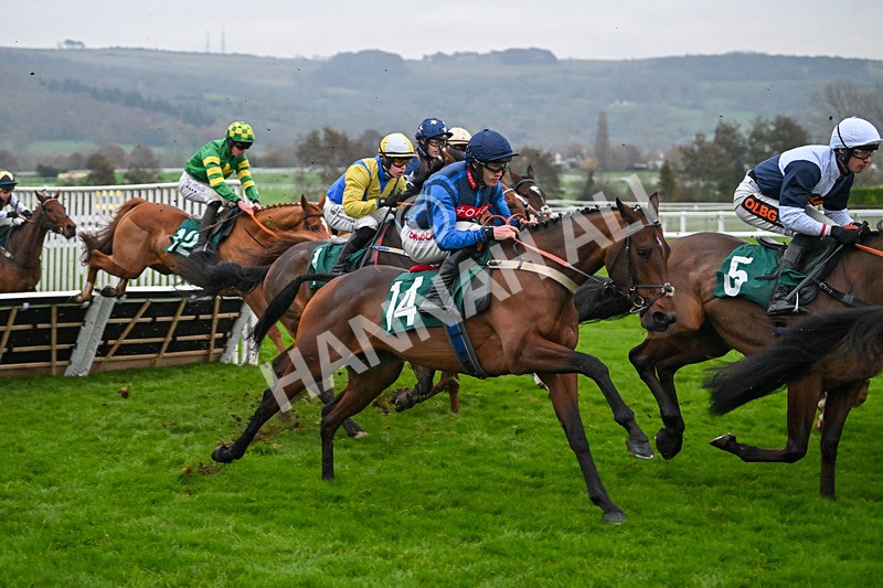 151124-Race 6-Razzle Dazzle Boy-8864 - Race 6