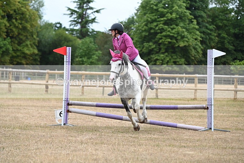 WJ6_0345 - Class 13 Novice Jumping 60cm