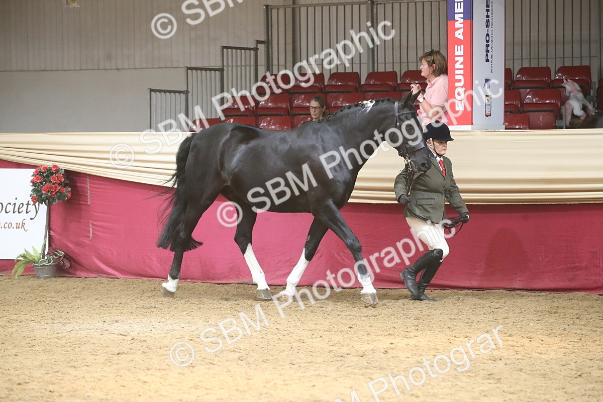 SBM_05519 - Class 9R - Regional IH Pre-Vet