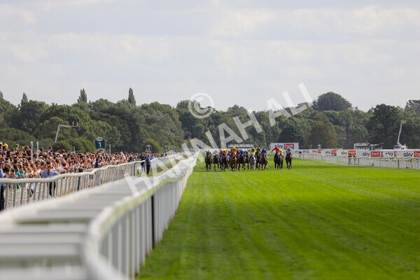 yr20082022r4-187 - Race 4 3.35pm Sky Bet Ebor