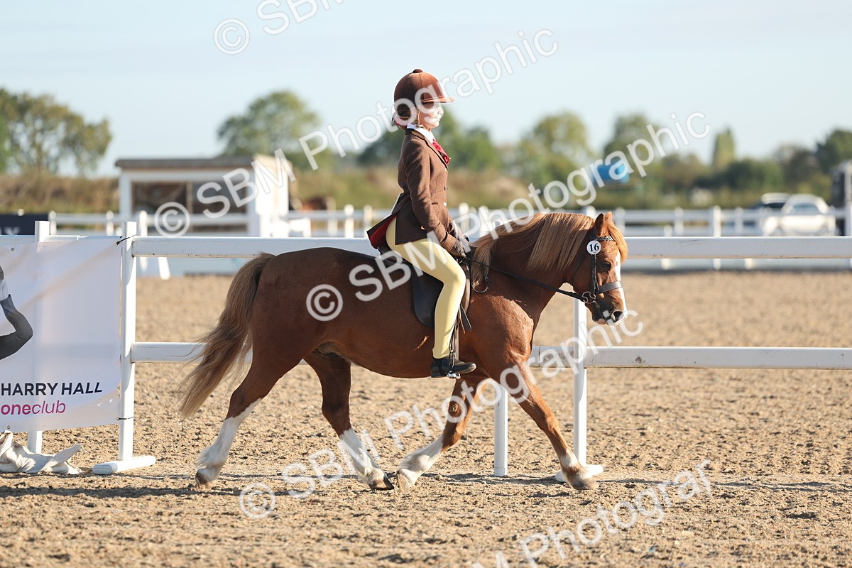 SBM_10899 - Class 301 - Ridden M&M Small Breeds