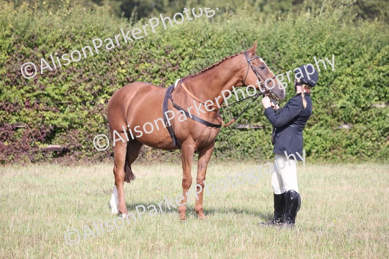 20260906-0683 - Class 22 - Ex Racehorse