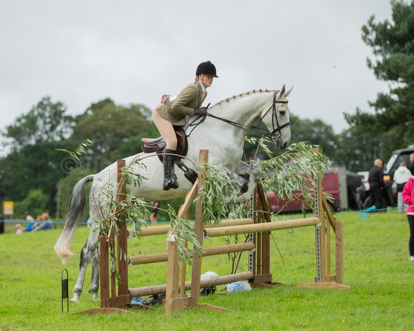Dunblane show-680 - Dunblane and Doune Show Ring 1