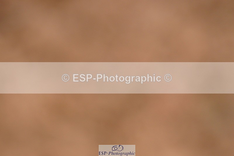 240628A-183910-00812 - Cls 3 1m Open