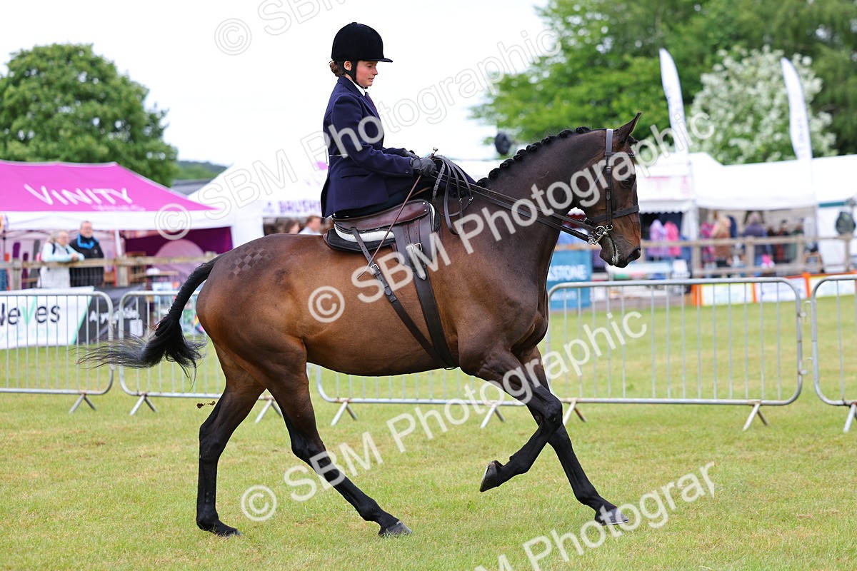 SBM_02723 - Class 9-11 Side Saddle including LIHS Rising Star Ladies Show Horse