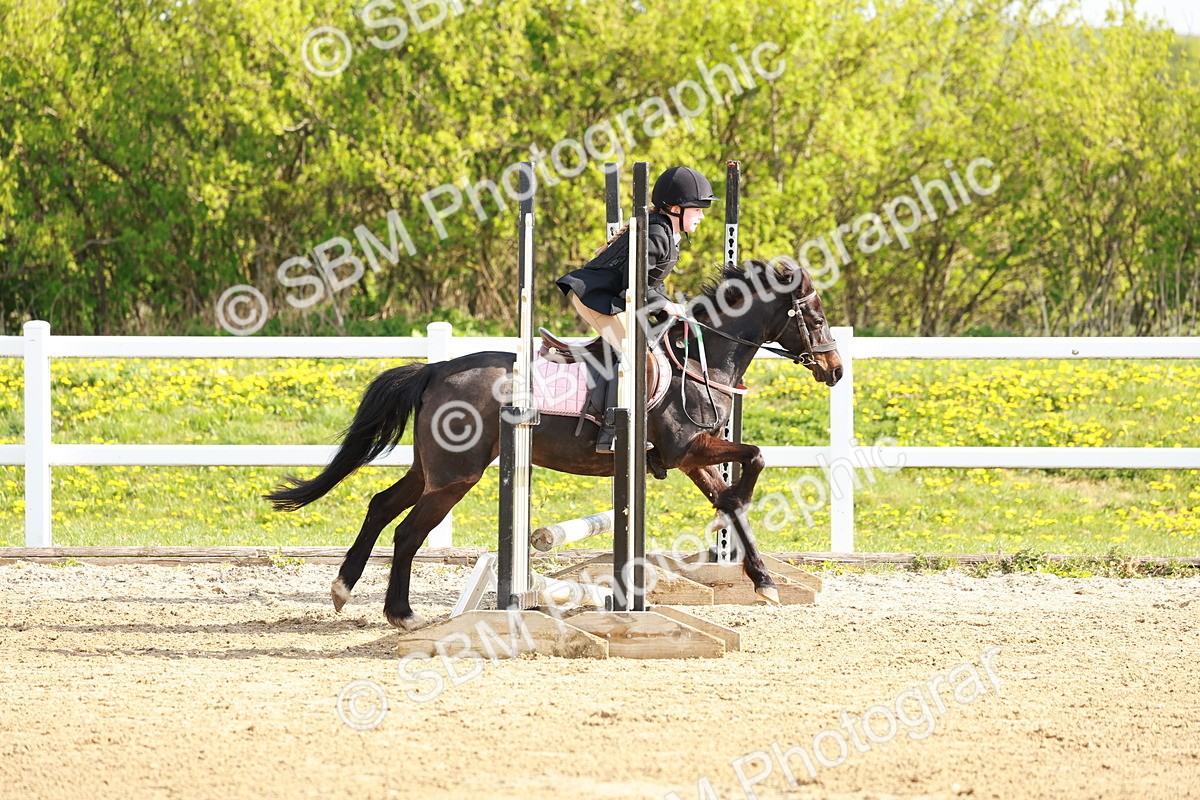 SBM_003209 - Class 2 - 50cm