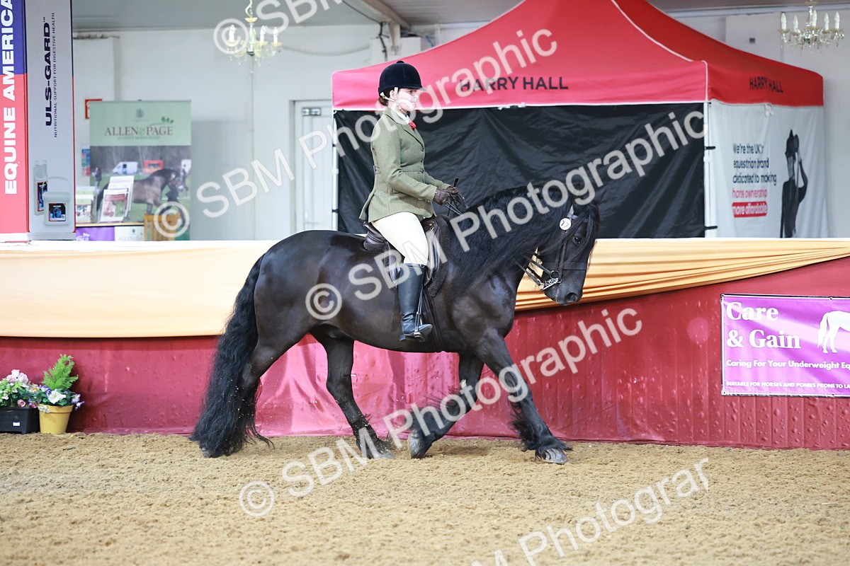 SBM_11798 - Class 102 - Equitation (Best Rider) Adult