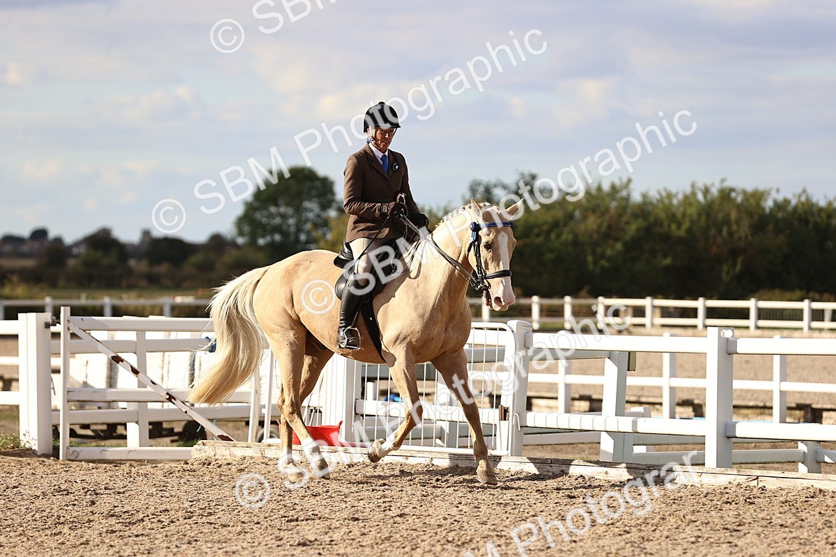 SBM_18310 - Class 423 - Equitation (best rider) Adult