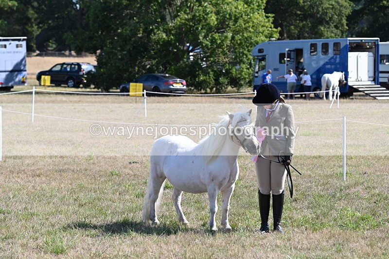 WJ6_4356 - Class 16 Condition & Turn Out