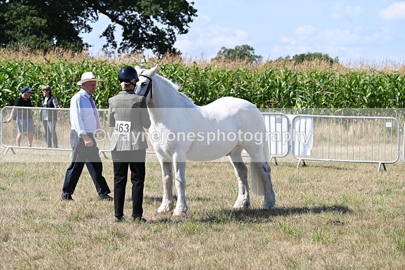 WJ6_4888 - Class 17 Mountain & Moorland
