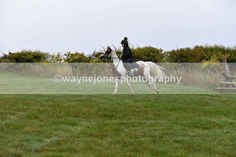 WJ5_5924 - Time 10:46 to 11:09