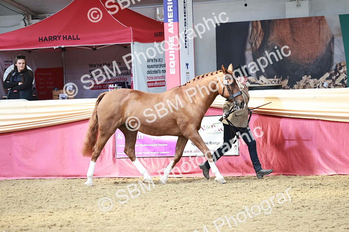 SBM_04743 - Class 7R - Regional IH Diamond