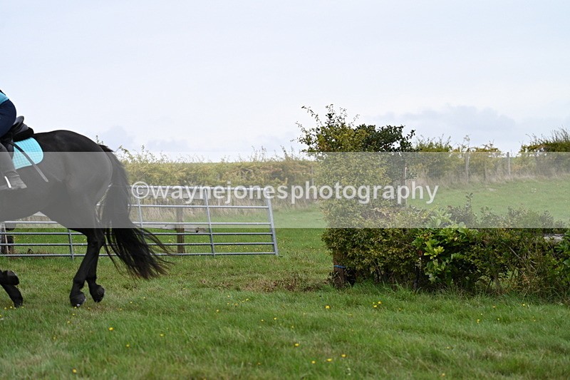 WJ7_8759 - Time 12:58 to 13:11