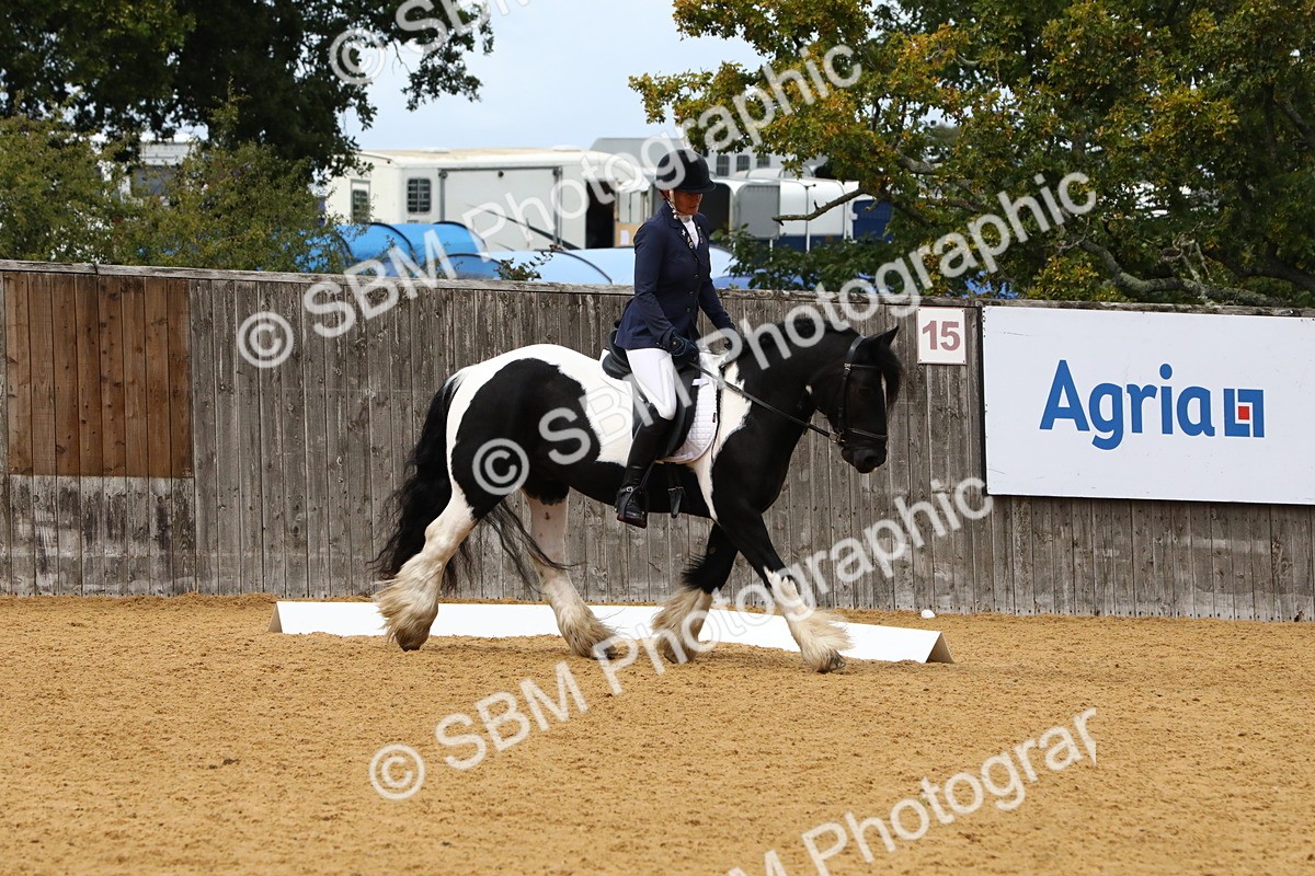 SBM_21009 - D5 - Small Tour Championshop Intro 2