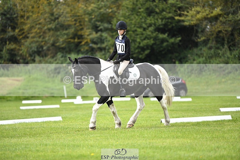 230826-111455-15795 - Sections C & D 10 to End