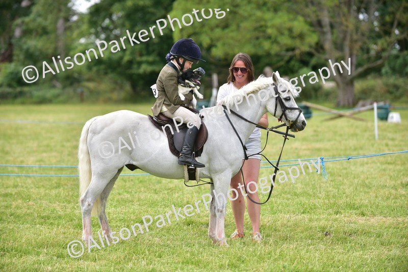 20260614-4535 - Class 19 - Cutest Pony, Rider and Dog Combination