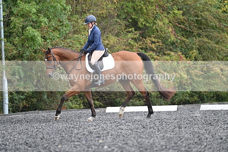 WJ7_4296 - Time 11:43 to 12:09