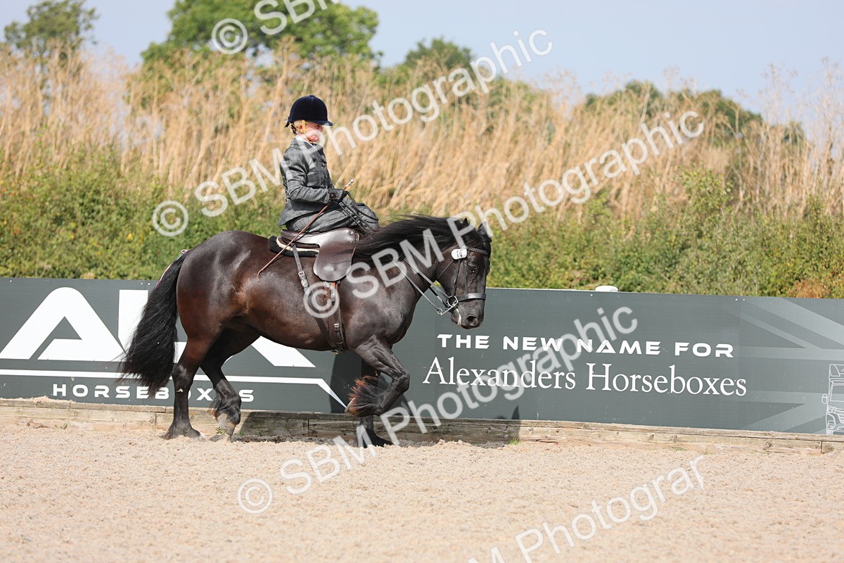 SBM_14533 - Class 211 Best Side Saddle Horse/Pony
