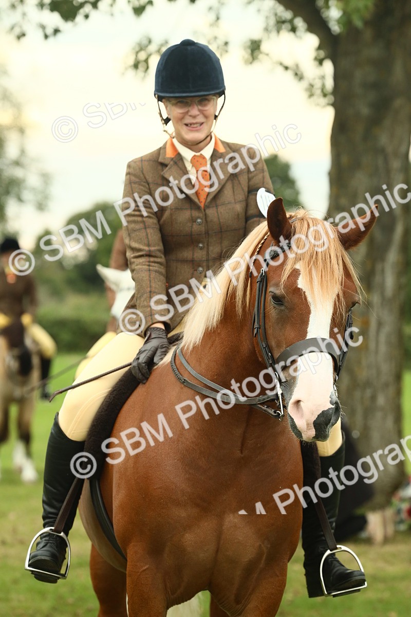 SBM_72287 - S60 - Mountain & Moorland Ridden Large Breeds