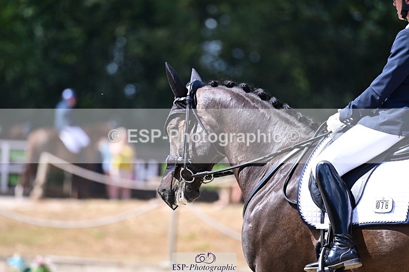 260731A-113458-00538 - Elementary Silver 11- Break