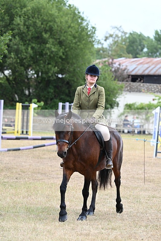 WJ7_0251 - Class 6 Ridden Mountain and Moorland