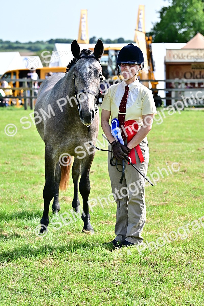 SBM_03367 - Class 50 - 54 Light Horse Breeding