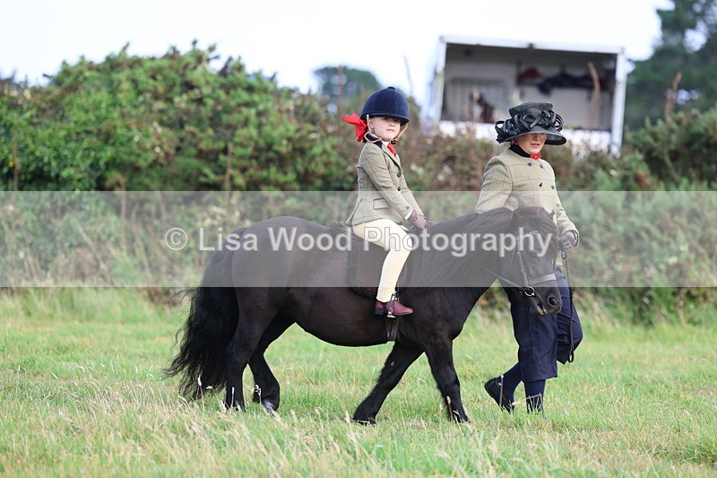 3E7A3528 - Class 2: Lead rein