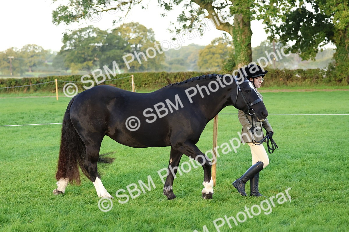 SBM_32745 - S8 - Best Turned Out