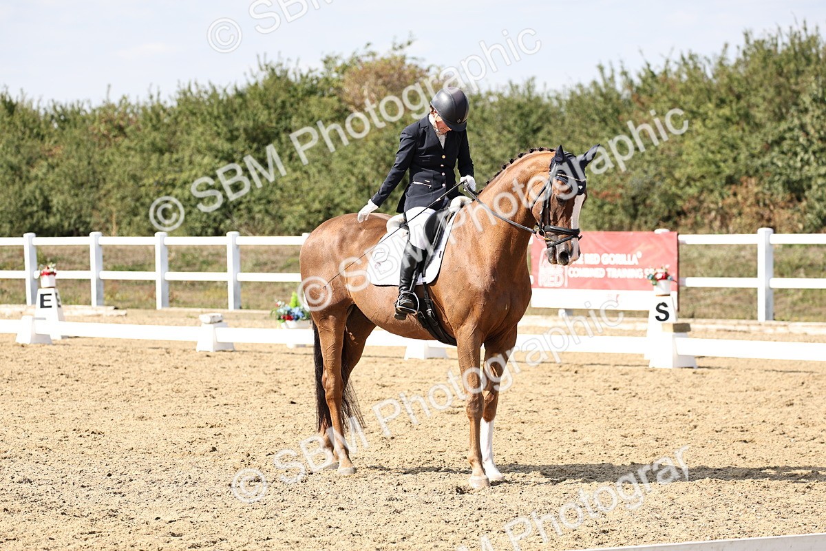 SBM_014945 - Class 7 - Medium 3