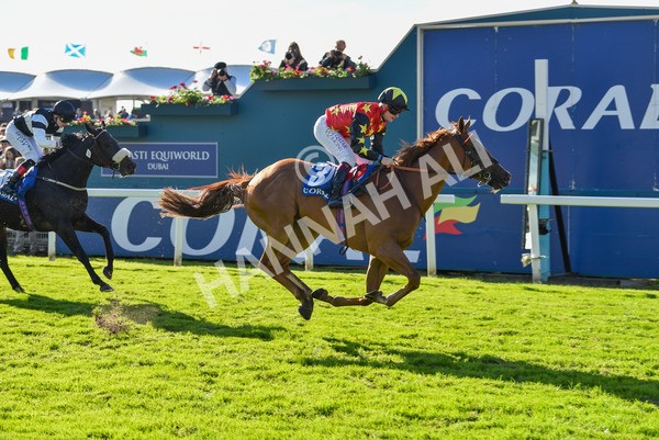 141023-Race 3-Montassib-0998 - Race 3 2.25pm Coral Sprint Trophy Handicap