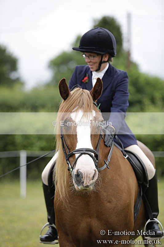 BVR160717-1562 - Ring 1 BVRC Show 16/07/17