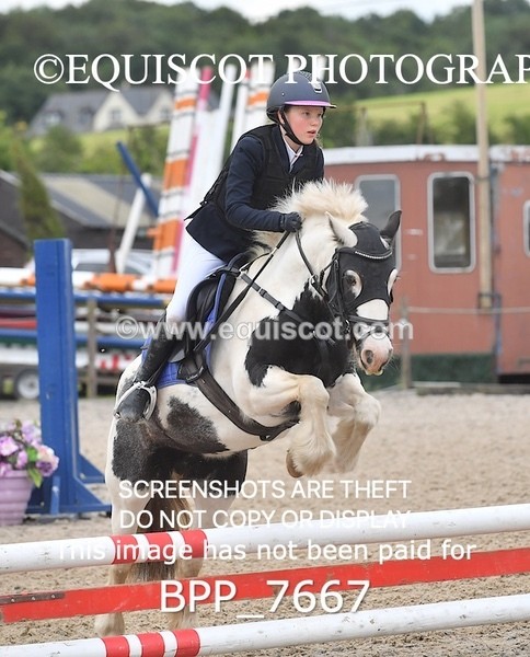 BPP_7667 - CLASS 1 Unaffiliated 60cms Open