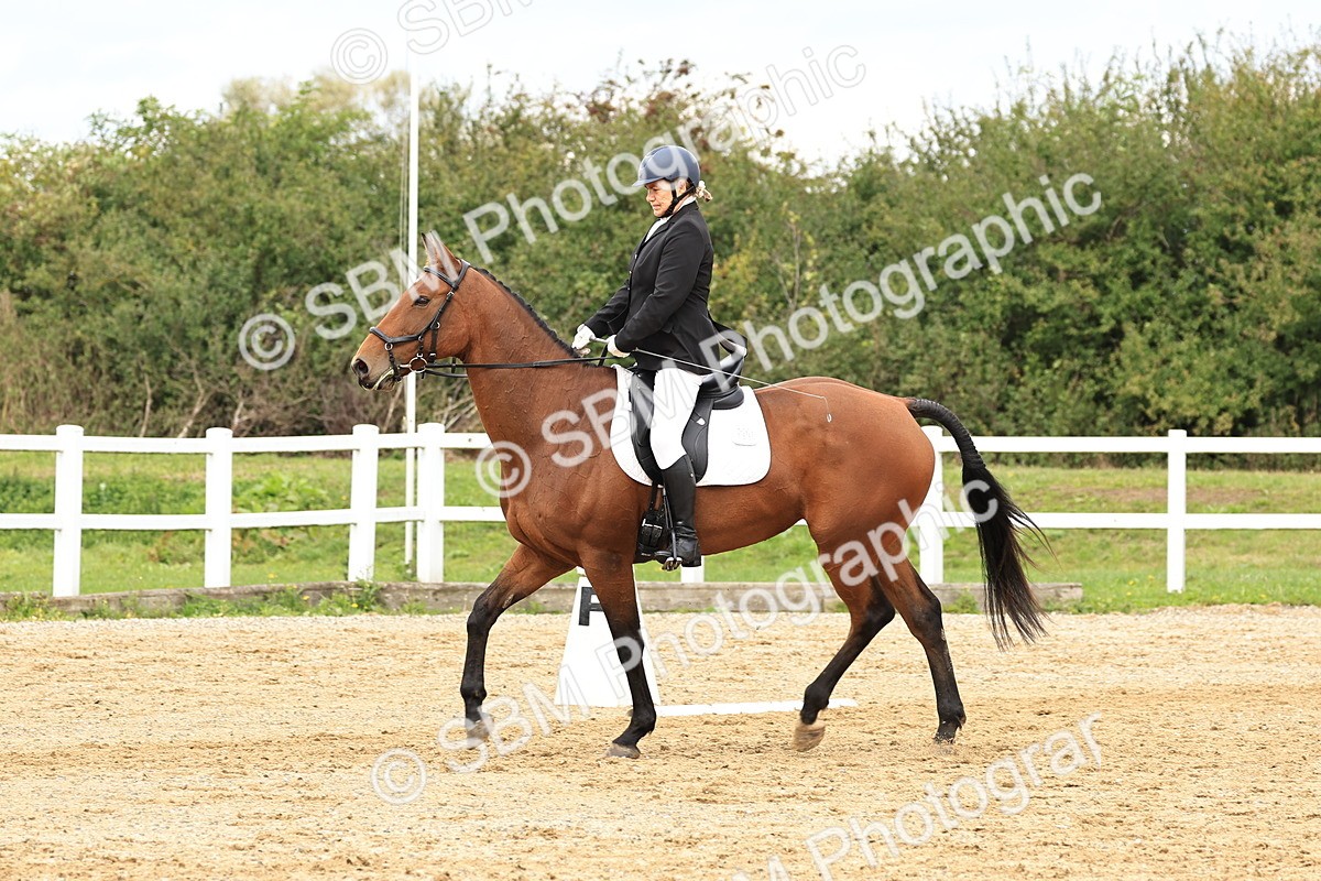 SBM_003590 - Novice 1