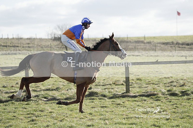 PtP 260223 1116 - South & West Wilts Point-to-Point Larkhill 26/02/23