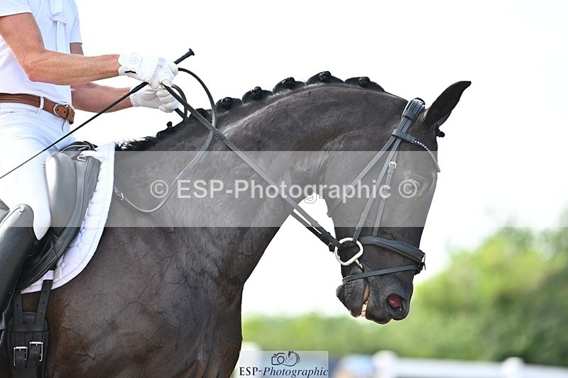 250620-171438-04931 - BD Cls 14 - Adv Medium 6