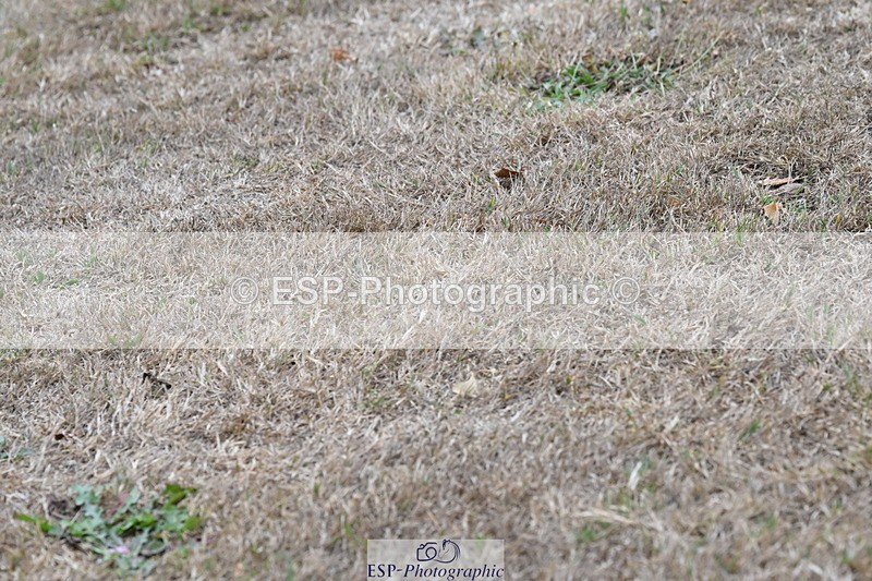 250820A-180640-12528 - Wednesday Presentations